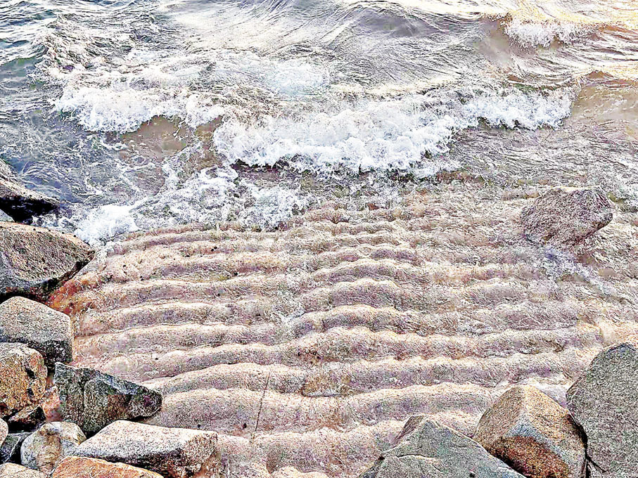 ■雞蛋仔石若隱若現。