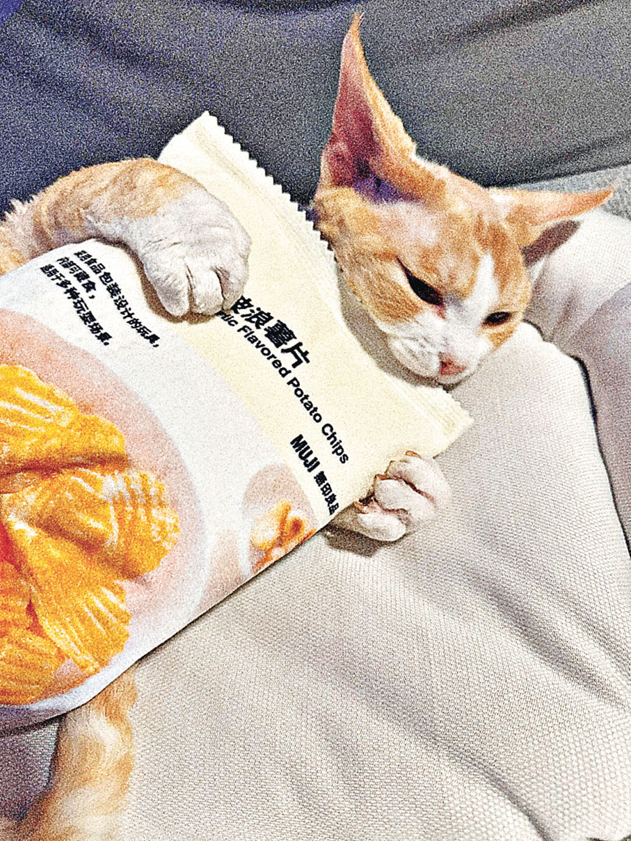 ■薯片布偶玩具外形得意。