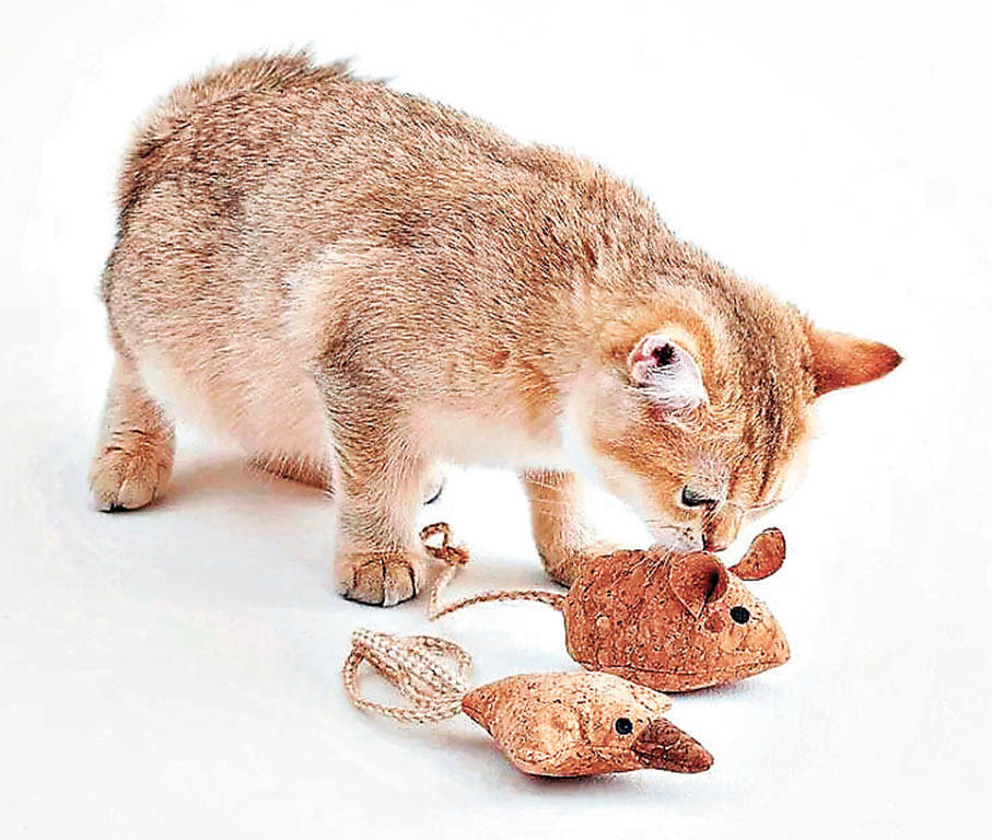 ■鼠形和鳥形玩具球，貓貓最鍾意。