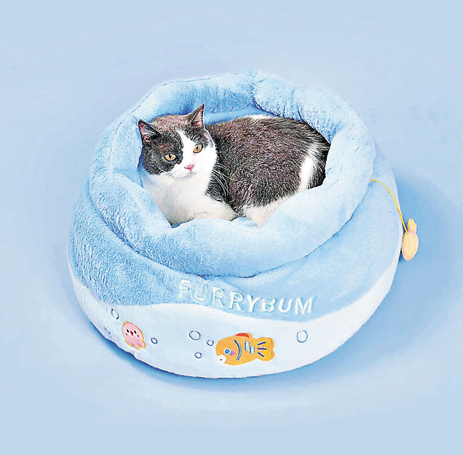 ■暖笠笠的魚缸造型貓窩。