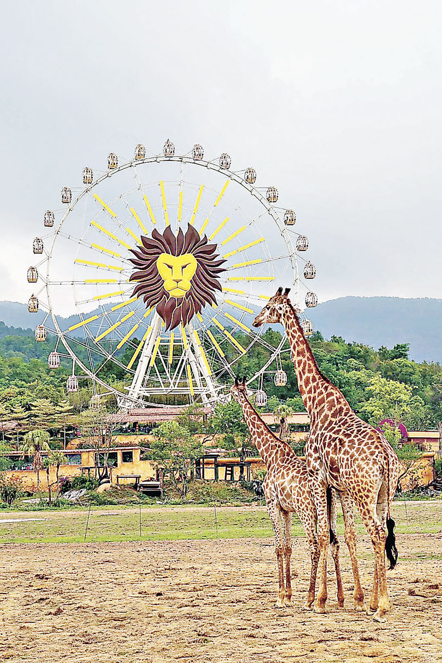 ■清遠長隆森林王國。 小紅書@李榴槤與六月