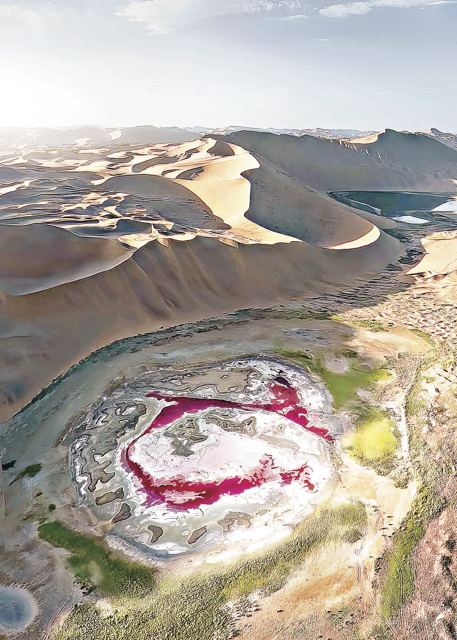 ■達格圖湖「玫瑰紅海」打卡絕景。