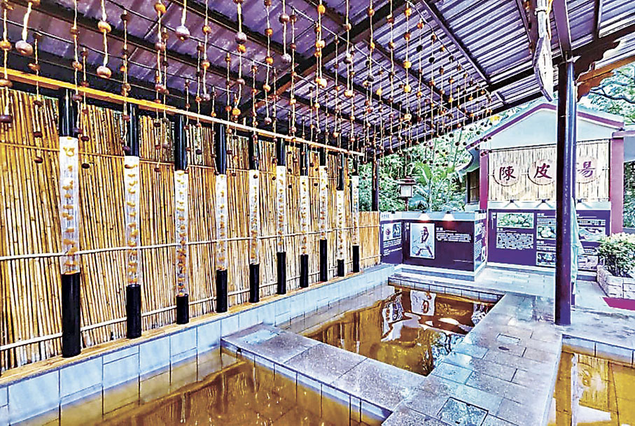 ■月泉湖居的陳皮溫泉是特色養生浸泡體驗。