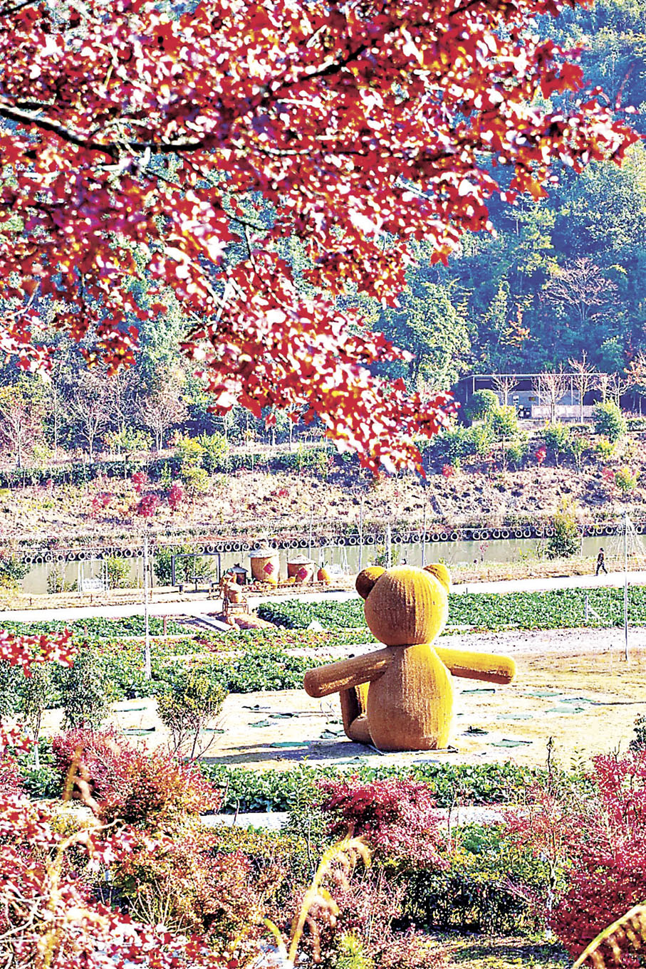 ■新豐紅葉世界的楓葉美不勝收。