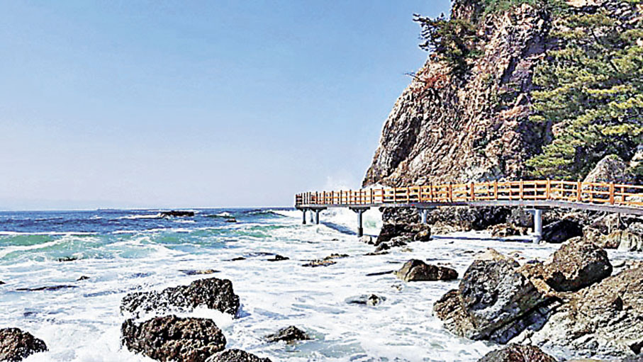 ■虎尾半島海岸步道可享受清涼海風。