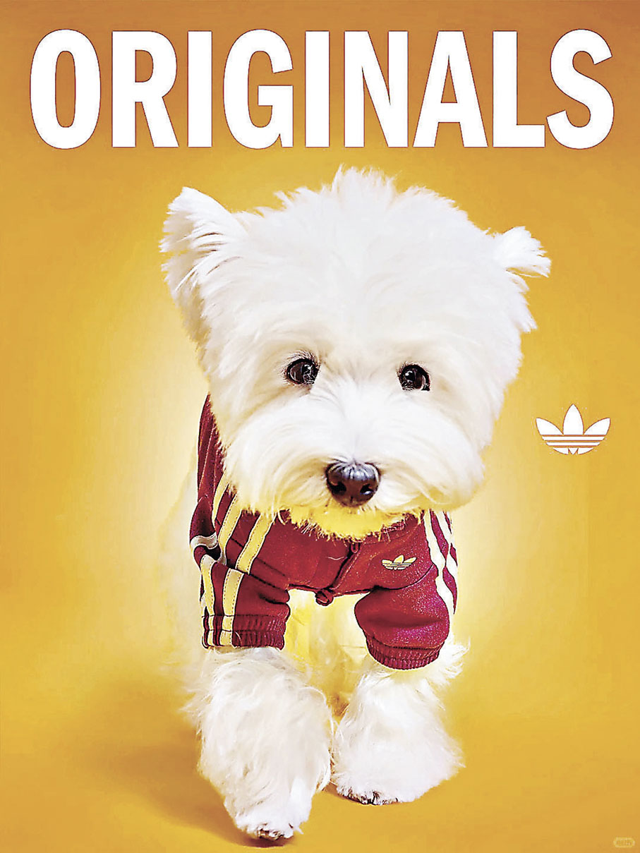 ■毛孩穿上新衣，與主人一起過年。