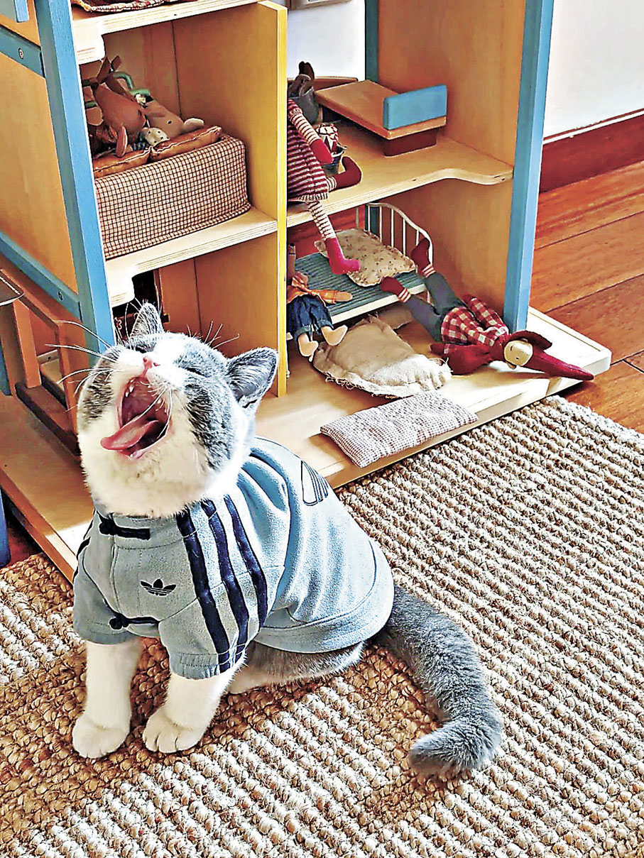 ■反毛皮材質提升保暖效果。