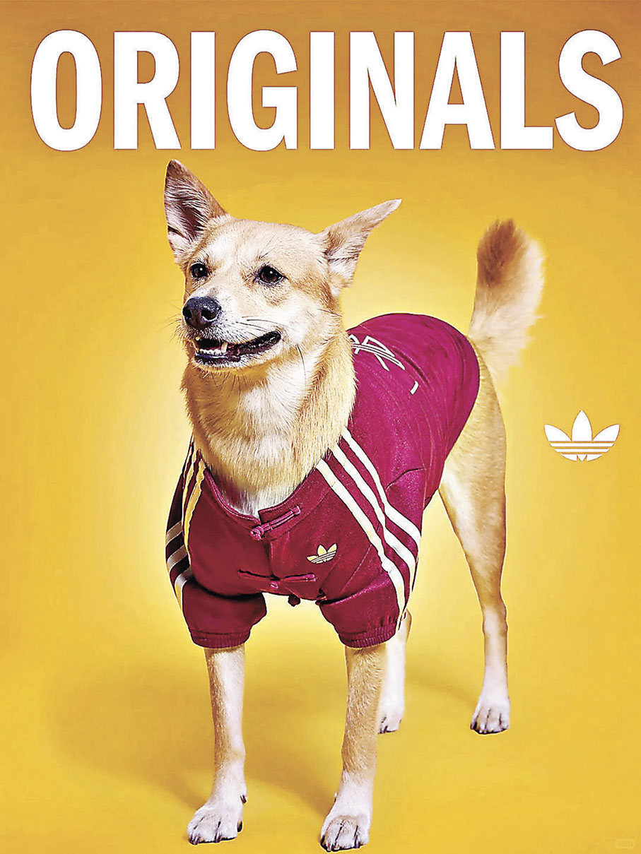 ■適合不同體形毛孩穿着。