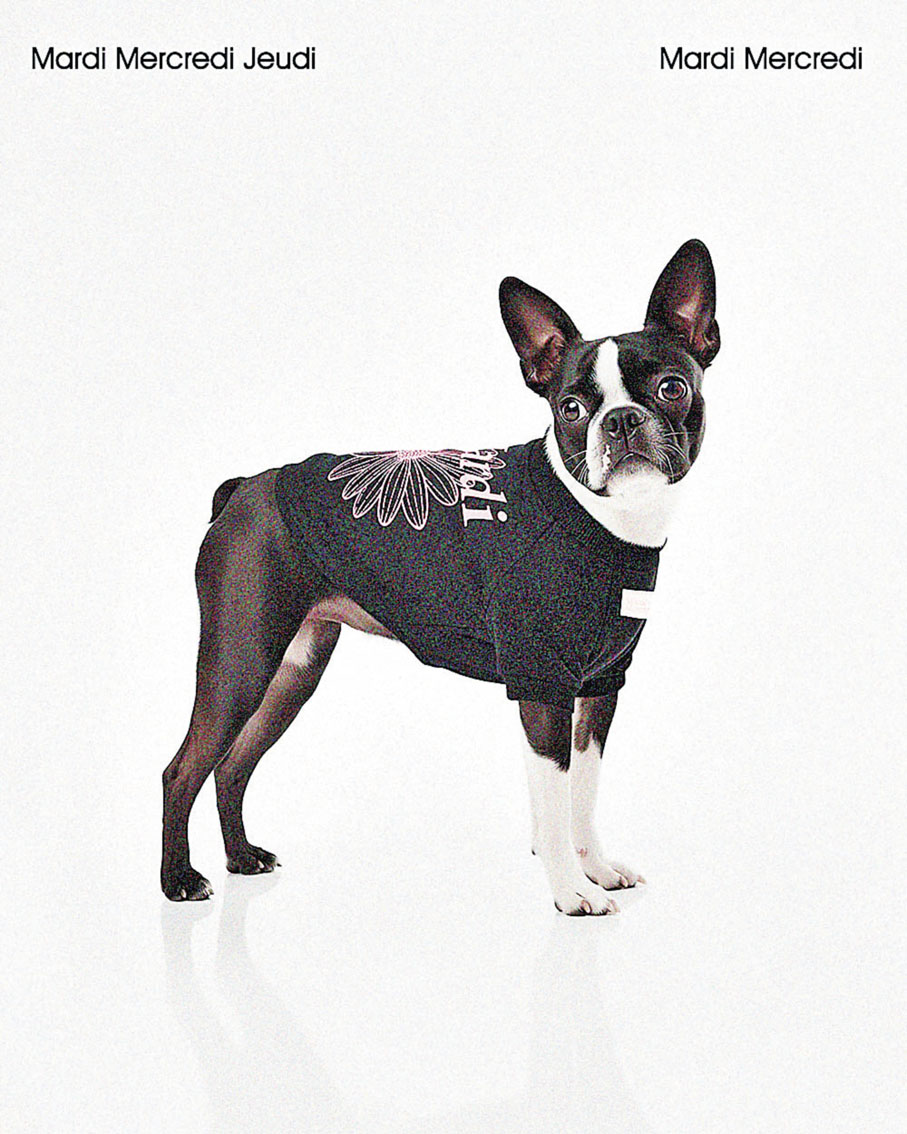 ■Mardi寵物衫好得意。