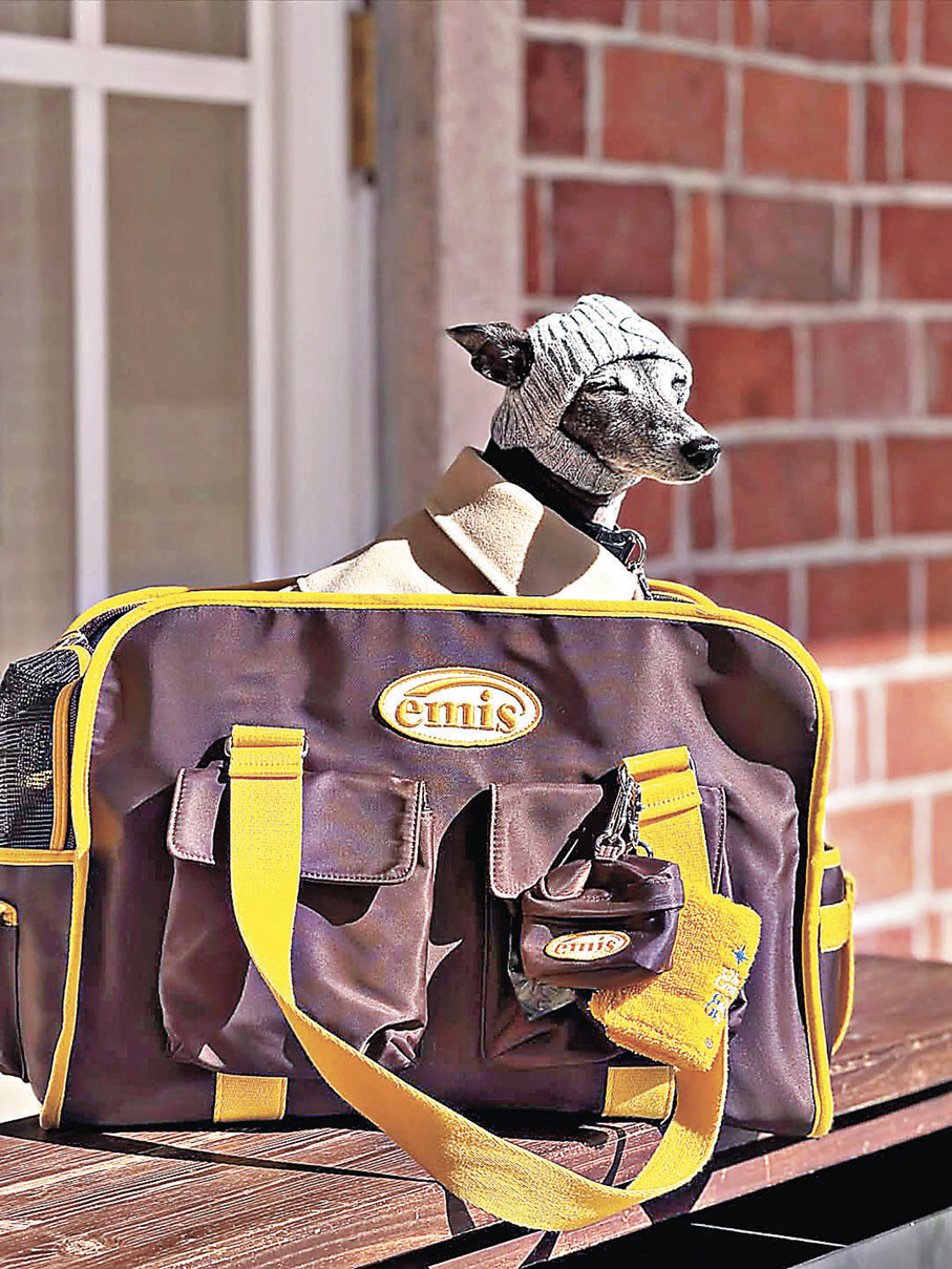 ■Emis也有推出寵物外出包包。