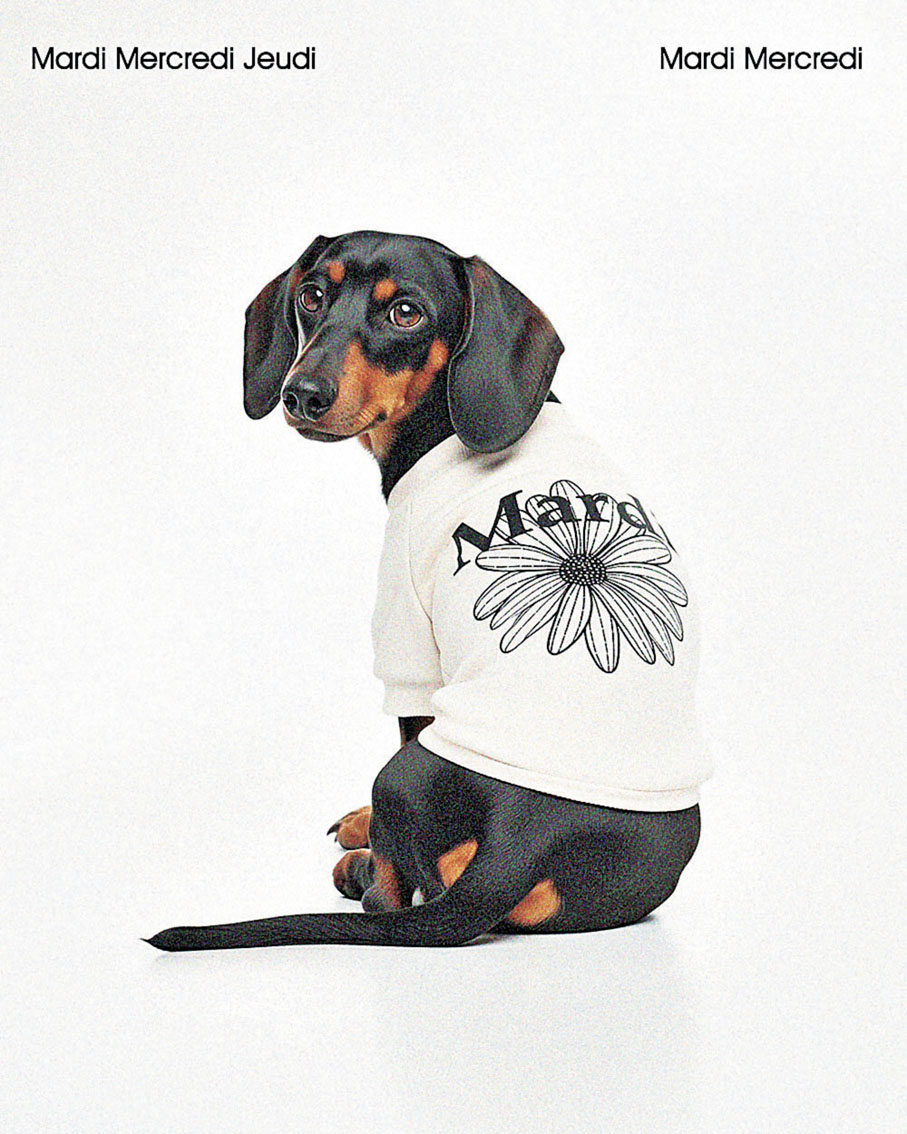 ■Mardi有標誌性的小雛菊Logo。