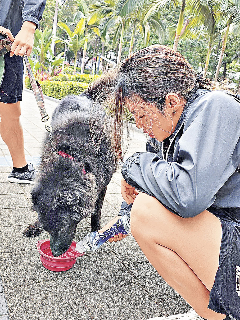 ■與毛孩出門時要定期讓牠們喝水，並注意身體會否過熱。