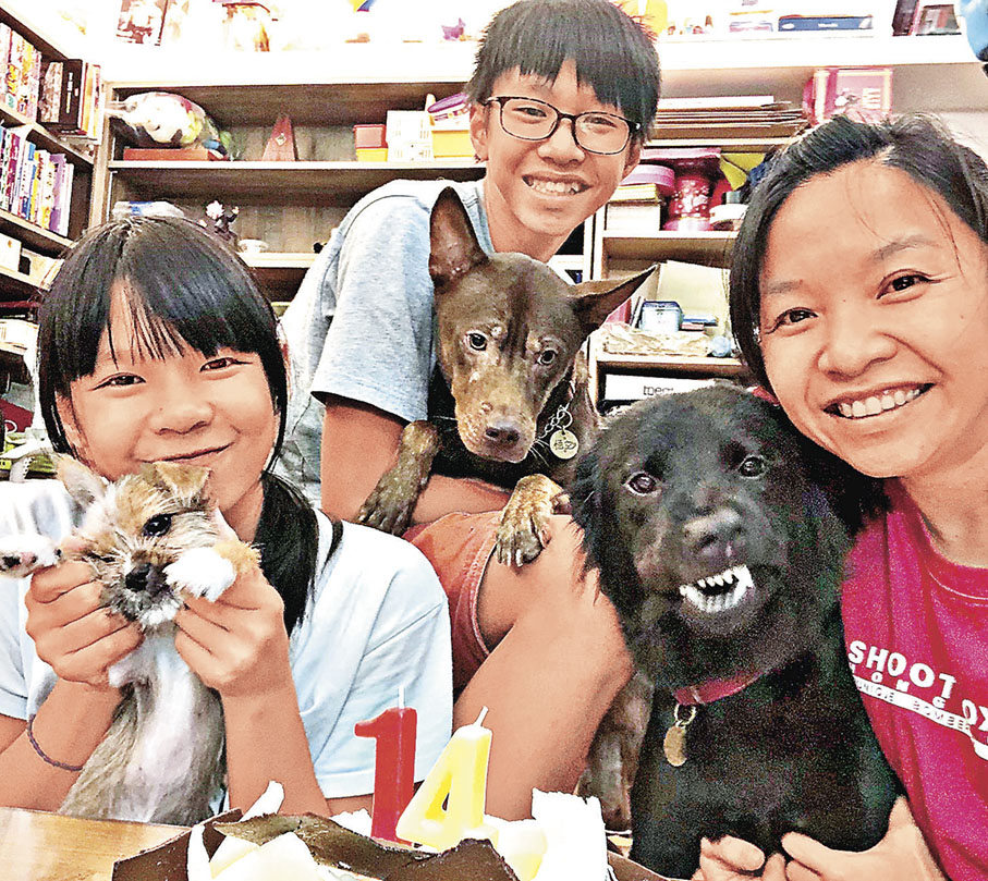 ■（右起）比達、悟空與仙豆是向氏一家的愛犬。