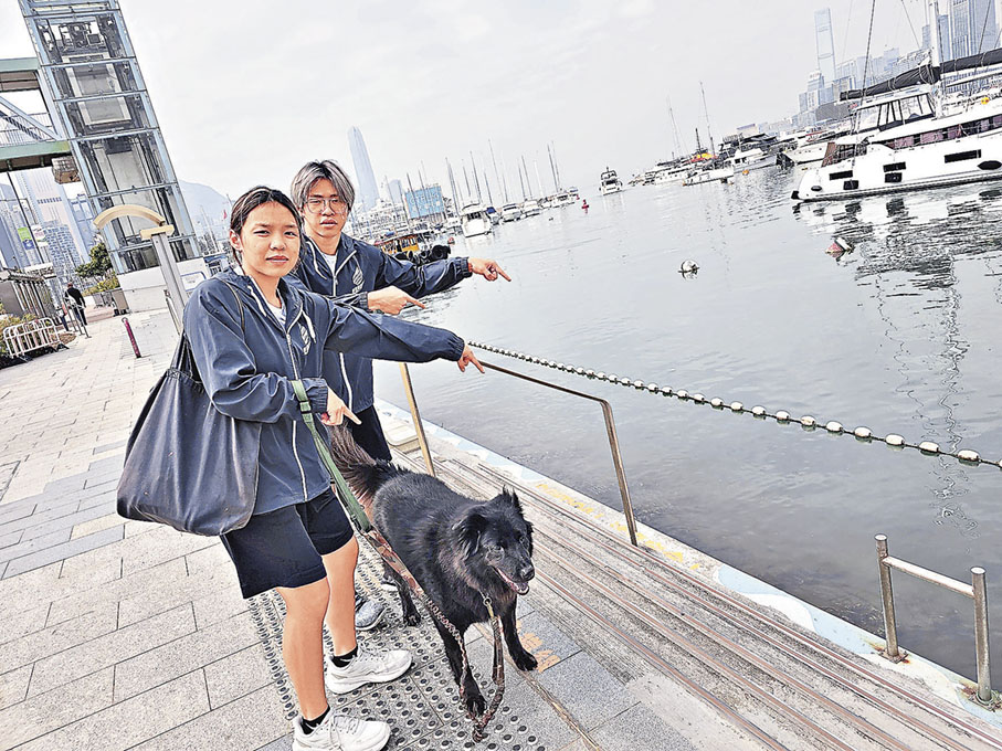 ■向氏兄妹提醒，要小心毛孩太熱會衝進海中。