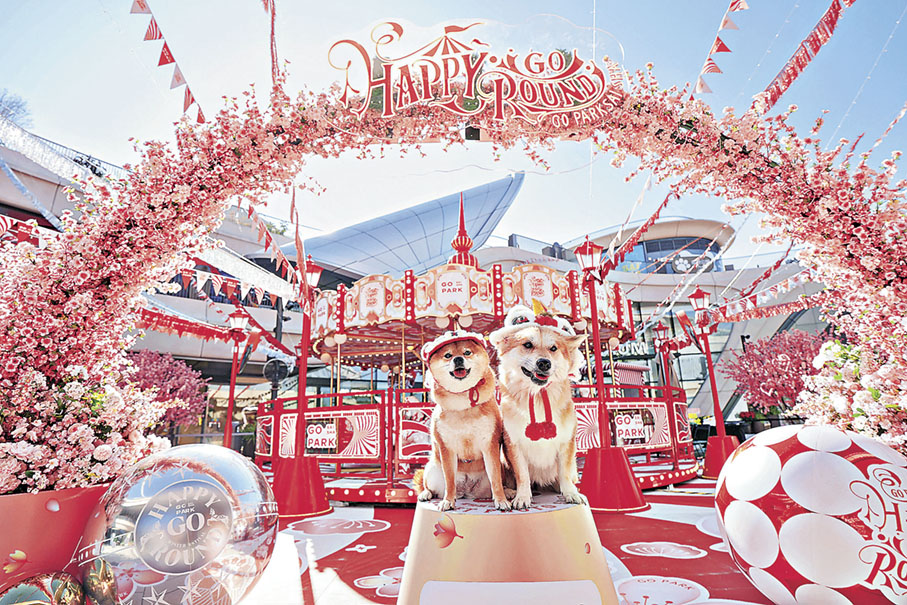 ■與毛孩共度溫馨新春時光。