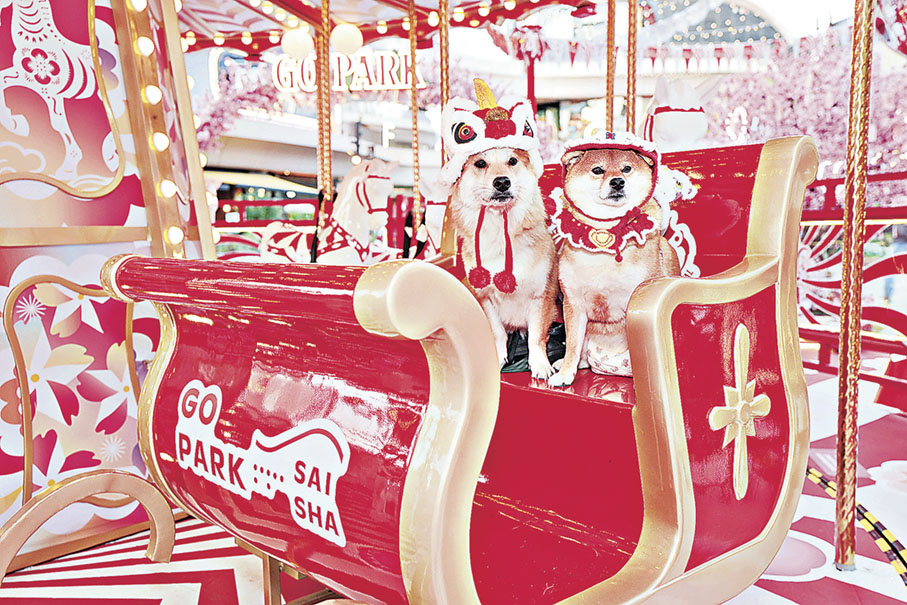 ■與愛寵坐上靜止旋轉的木馬及馬車，盡情打卡。