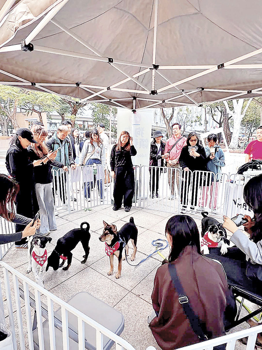 ■保護動物團體提供寵物領養服務。