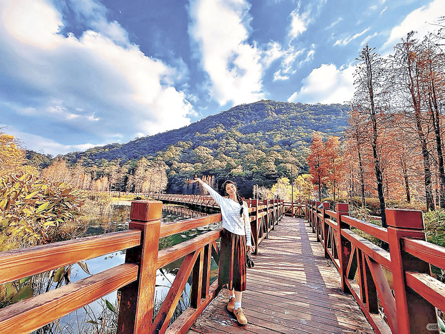 ■楓葉環山的景致美不勝收。  小紅書@小米君