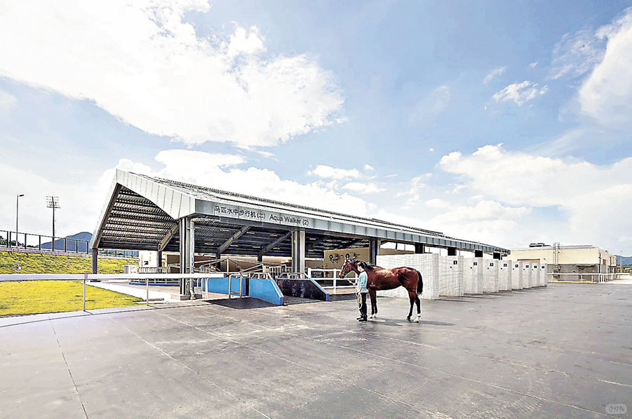 ■從化馬場有不同訓練馬匹設施。