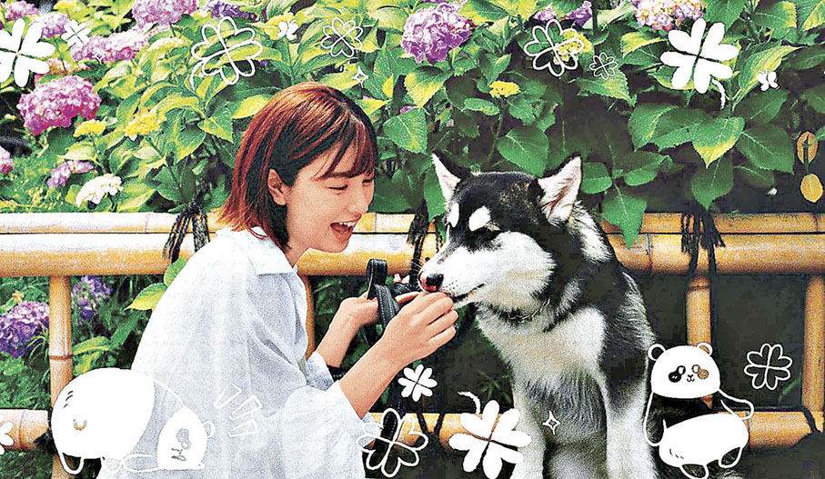 ■每張底片上都有可愛的熊貓朋友插圖。