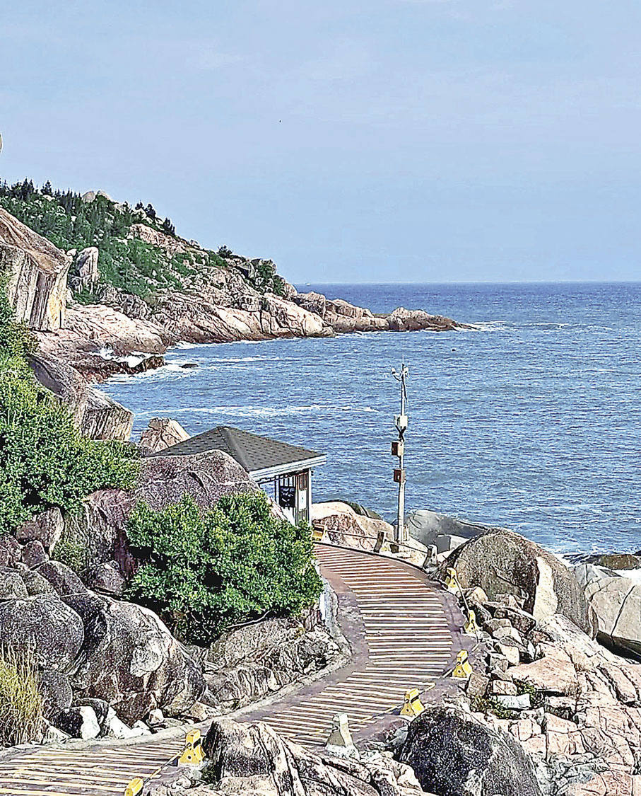 ■海龜灣的海邊棧道風景優美。  小紅書@草莓醬