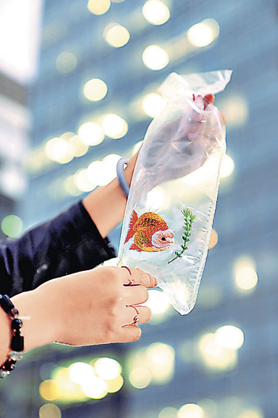 ■許開嬌巧手刺繡的金魚。