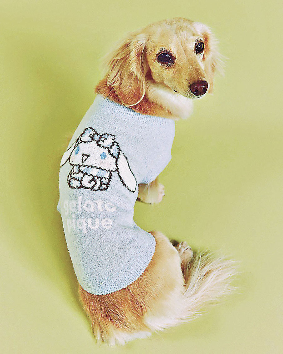 ■家中的毛孩子也可穿上親子裝。