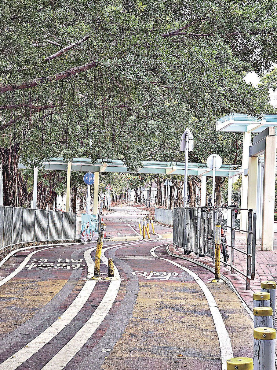 ■單車徑綠樹成蔭，平坦寬闊。