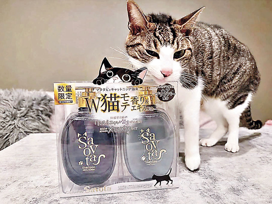 ■「貓草洗護系列」掀起話題。
