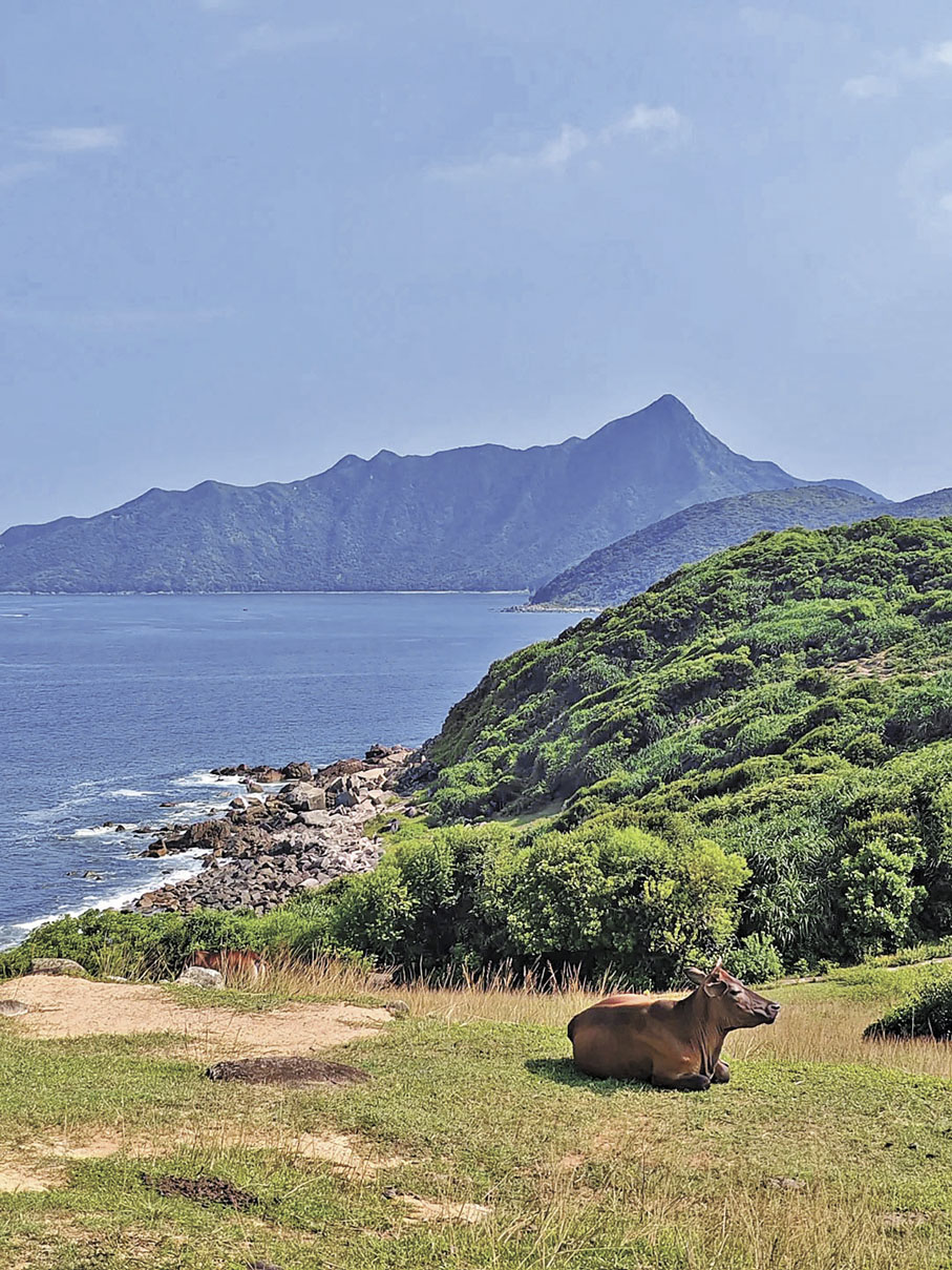 ■塔門的草原遼闊，適合放風箏。