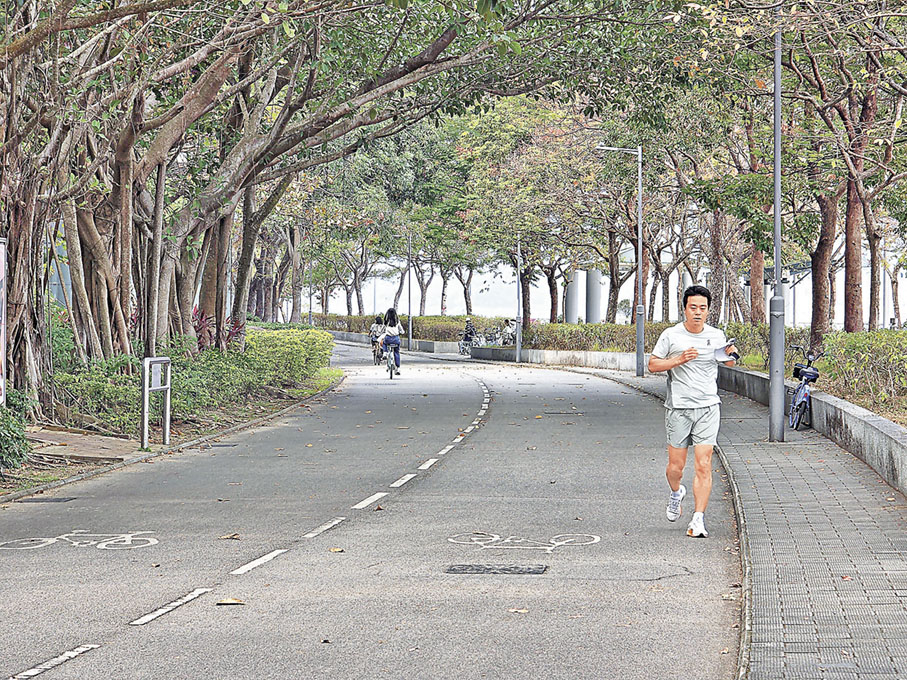 ■科學園路段綠樹成蔭。