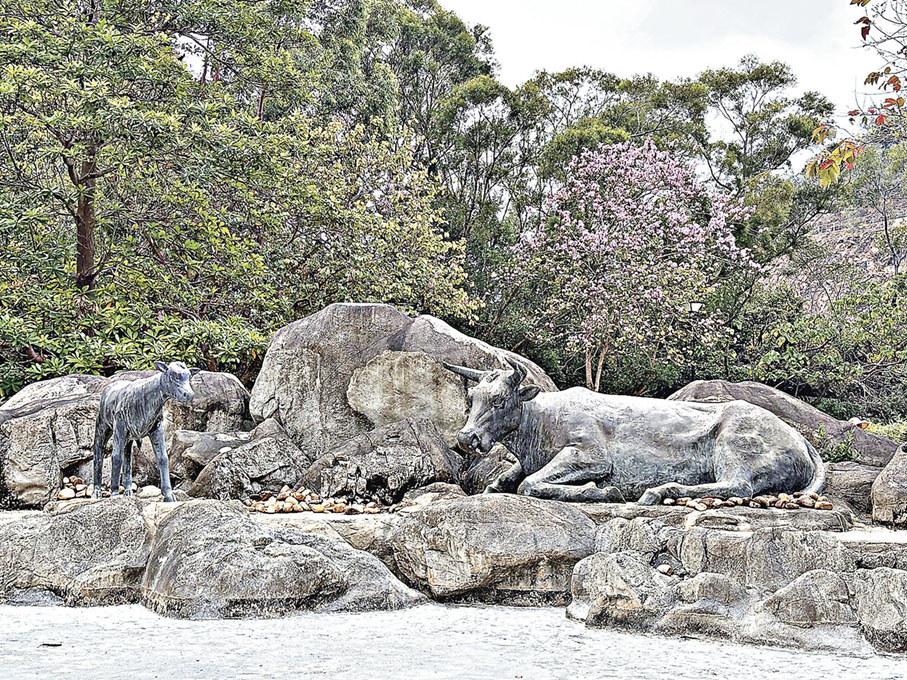 ■水牛雕塑水池
