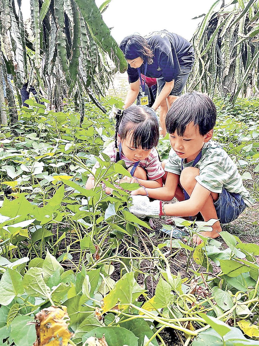 ■培養孩子對蔬果的喜愛。