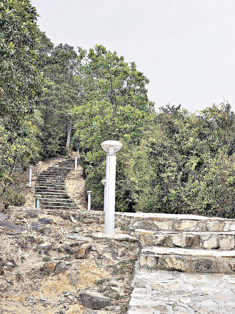 ■登山沿途有修整過的樓梯及街燈，平坦易走。