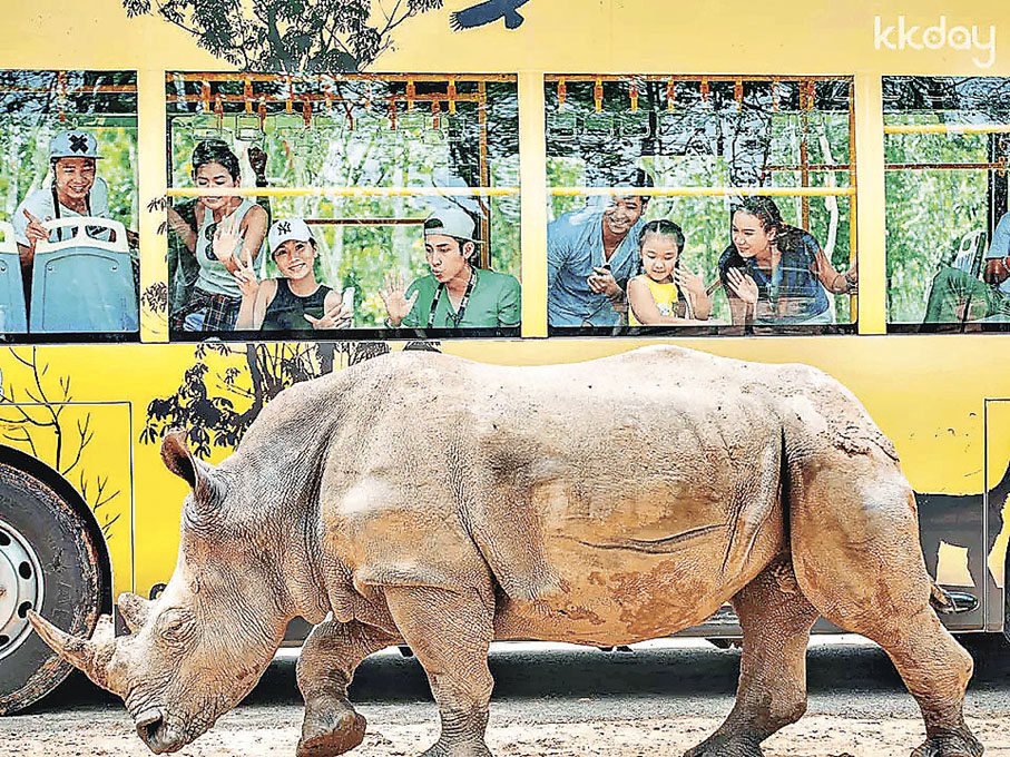 ■Safari遊覽車可沿途觀賞動物。