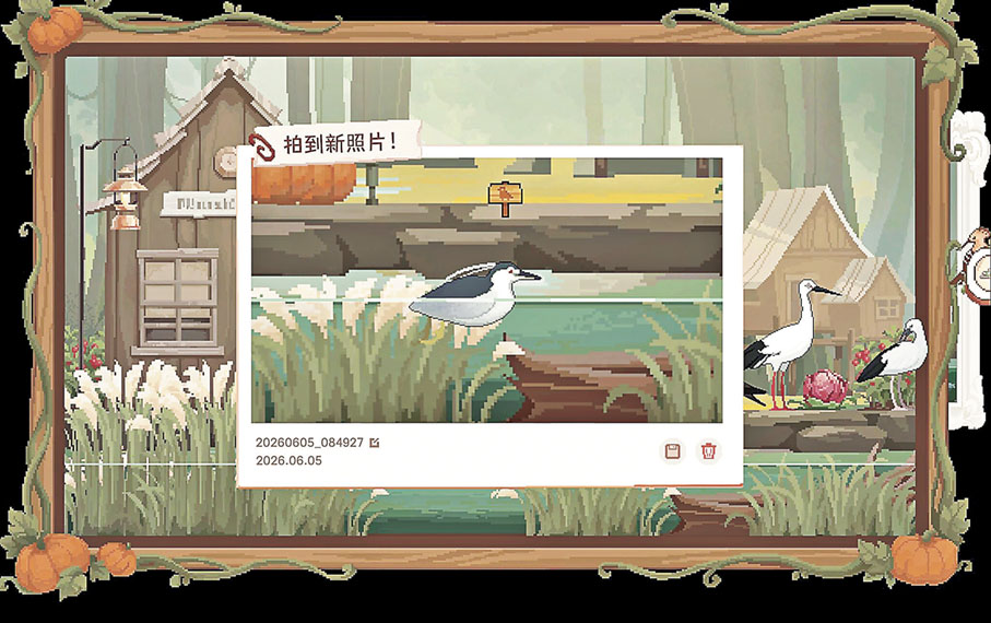 ■記錄鳥兒的活動。