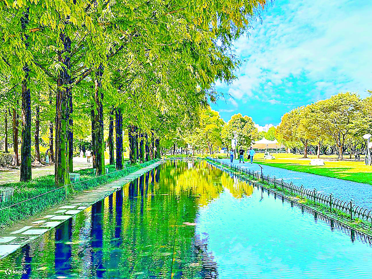 ■首爾林的自然生態公園。