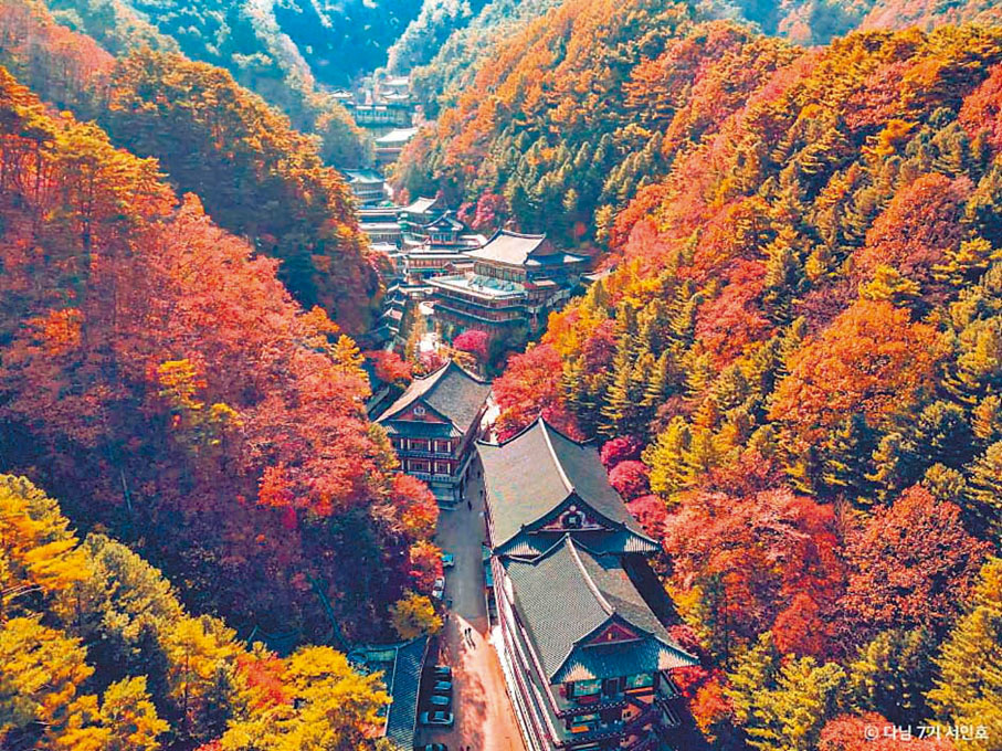 ■救仁寺景色壯麗可觀。