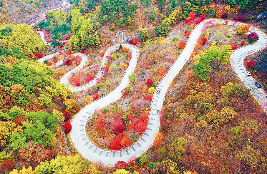 ■鮑勃爾嶺山路長約 3 公里的壯麗 S 型髮夾彎。