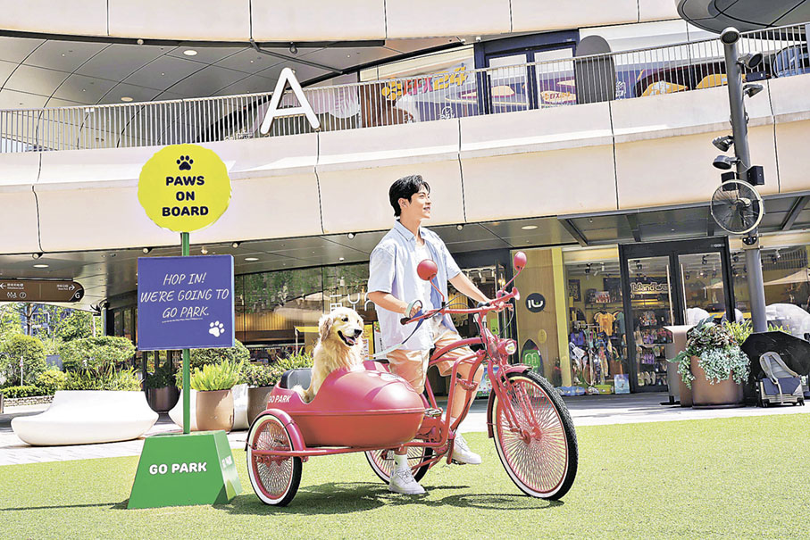 ■於「型格破風車隊」化身型格車手。