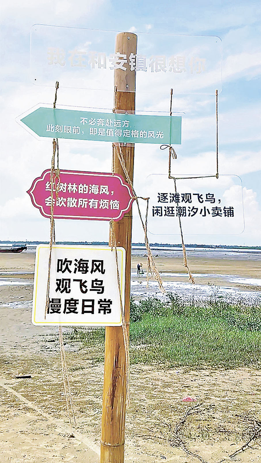 ■遊客可在島上觀鳥及參觀紅樹林。