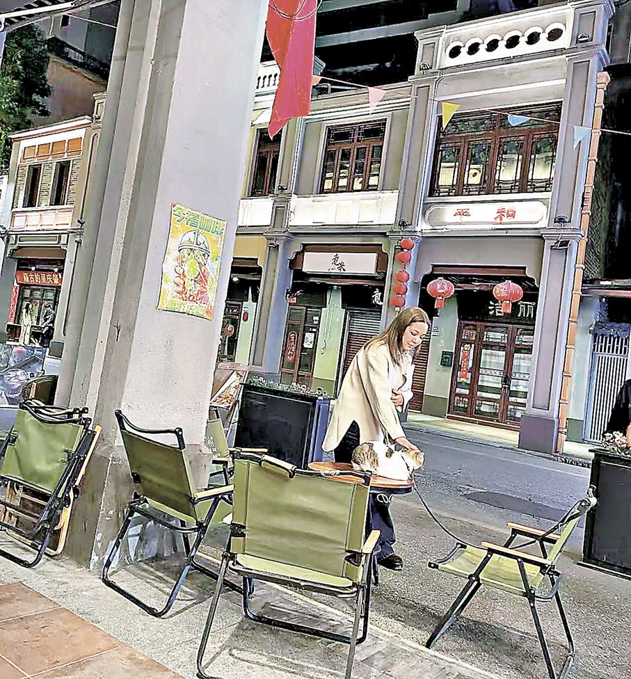 ■衛蘭到訪騎樓街也忍不住擼貓。