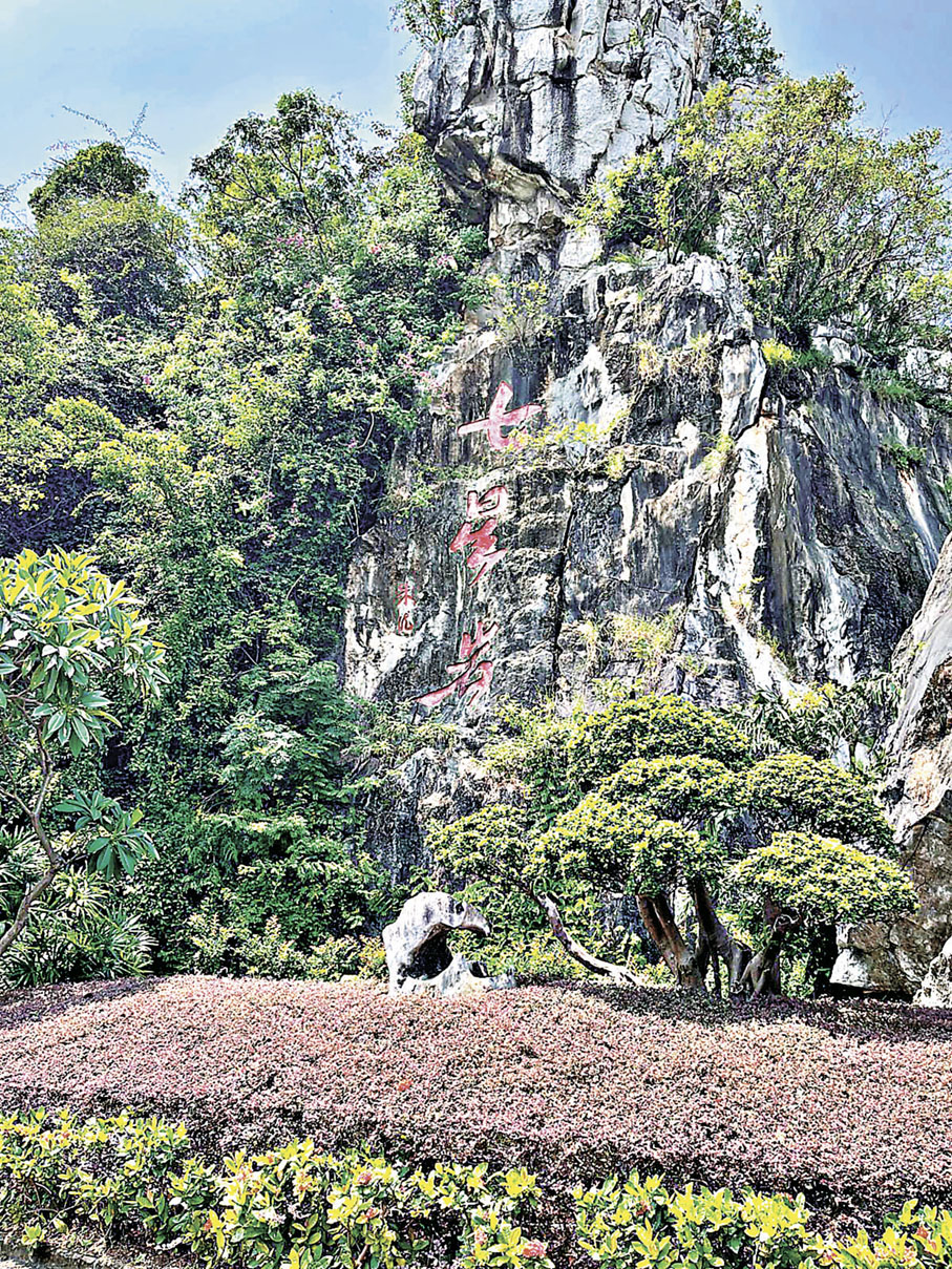 ■七星岩由七座不高但各具特色的石灰岩山峰組成。