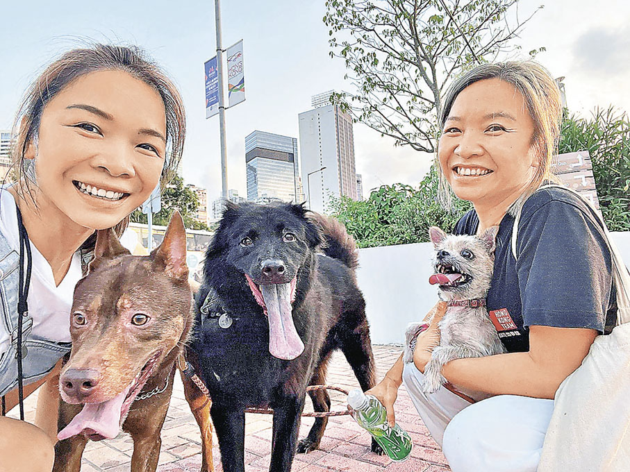 ■Nana與姐姐及三隻愛犬(左起)悟空、比達與仙豆一起散步及訓練。 受訪者提供相片