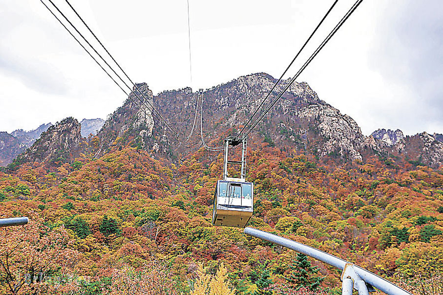 ■在權金城纜車上，旅客可觀賞紅葉盛放的山景。