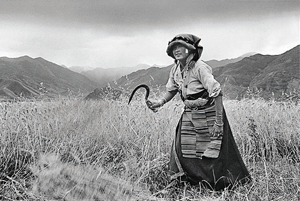 　　圖：《收割中的姑娘》（黑白），西藏，2000年
