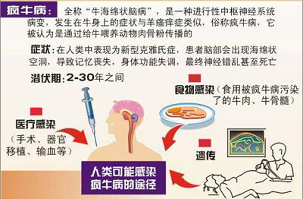 　　圖：瘋牛病科普圖