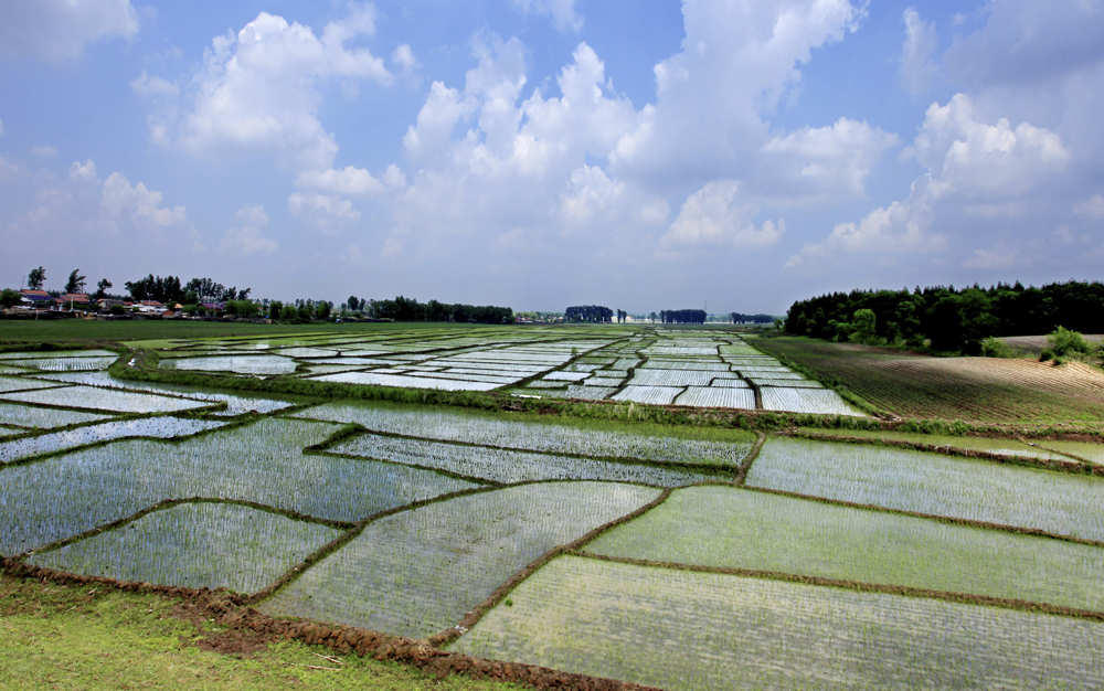 　　圖：榆樹千頃沃野良田
