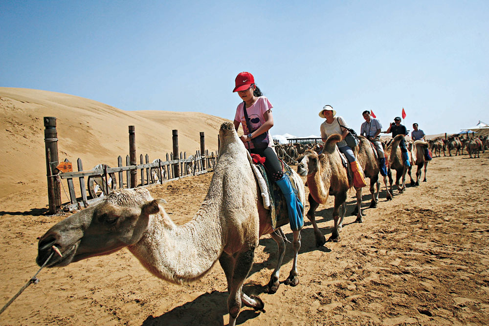 　　□「中國駱駝之鄉．阿拉善」命名授牌揭碑儀式上月在內蒙古阿拉善盟巴彥浩特舉行，這標誌着阿拉善雙峰駝通過國家農畜產品地理標誌認證，「駝鄉」美譽實至名歸。阿拉善盟將堅持駱駝保護與開發並舉、數量增加與效益提高並重的原則，進一步加強阿拉善雙峰駝保護工作，充分發揮駱駝資源的獨特優勢，深度挖掘駱駝的經濟。/文、圖：本報記者　王靜秋、趙玉琴