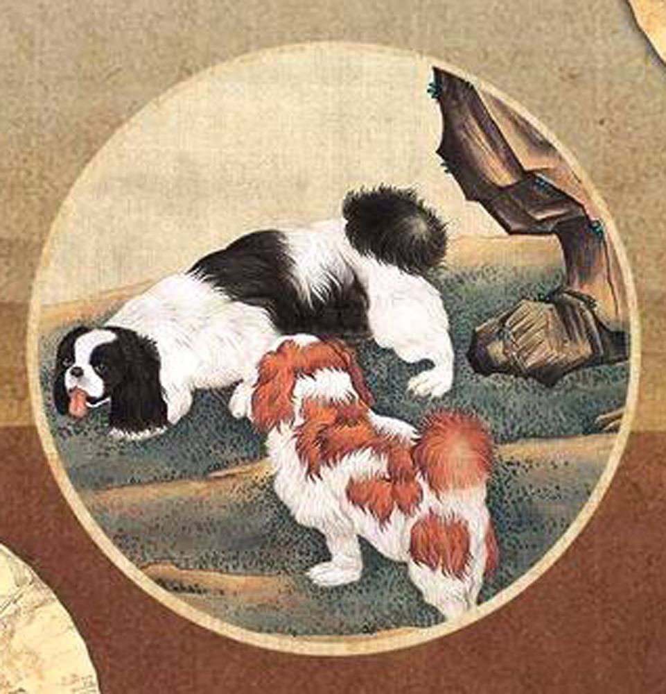 　　圖：慈禧生前最喜歡的「京巴狗」\網絡圖片